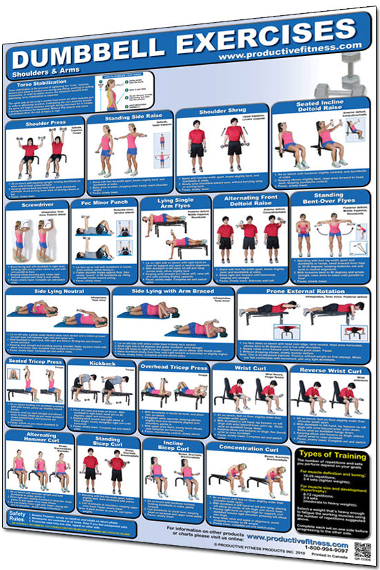 Dumbbell Exercises Poster - Shoulders and Arms – HomeFit Exercise