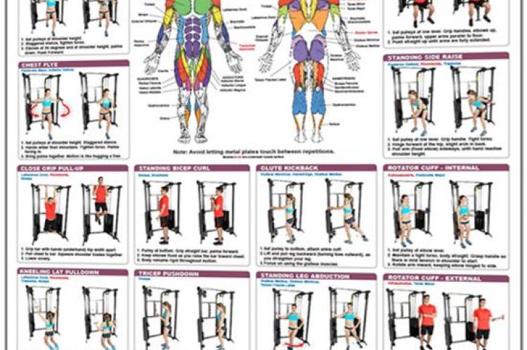 Functional Trainer Exercises Poster Basics, 42% OFF
