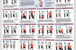 Functional Trainer Exercises Poster - Advanced