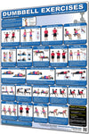 Dumbbell Exercises Poster - Shoulders and Arms