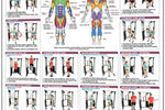 Functional Trainer Exercises Poster - Basics