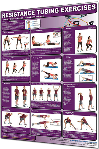 Resistance Tubing Exercises Poster - Backs, Legs, Biceps, Chest and Triceps
