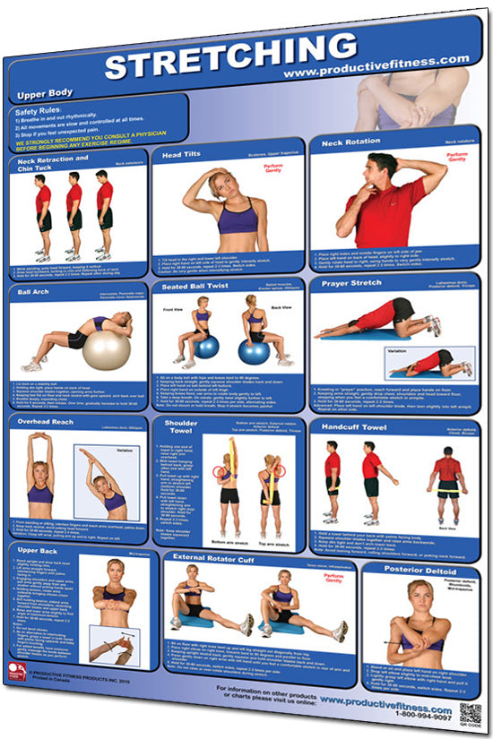 Stretching Exercises Poster - Upper Body – HomeFit Exercise Equipment